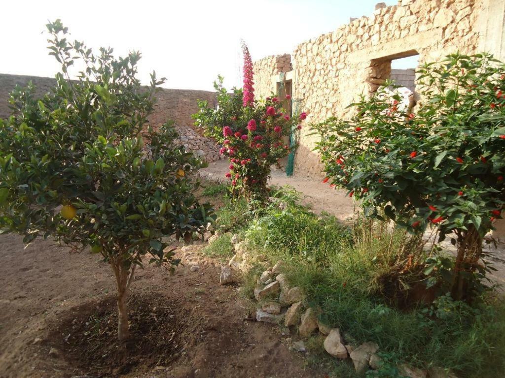 Takad Dream Rural Apartment El Borj Екстериор снимка